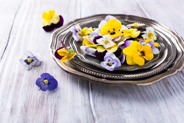 Mix edible flower on metal plate on old white wooden background with copy space